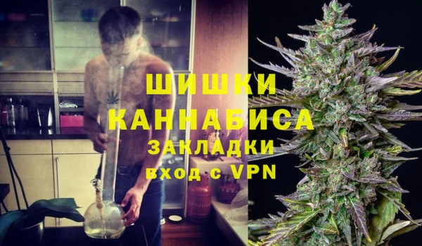 spice Алзамай