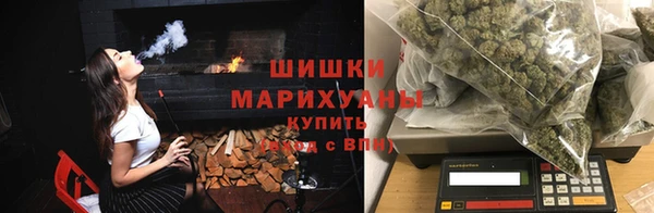 spice Алзамай