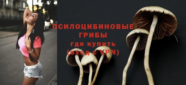 spice Алексеевка